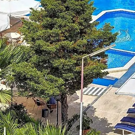 Billurcu Ayvalı